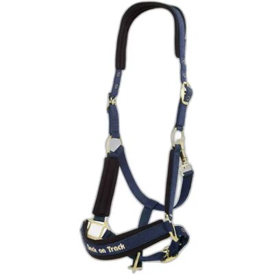 Halfter Back on Track Werano Bleu Pur-sang Halfter Back on Track Werano Bleu Pur-sang