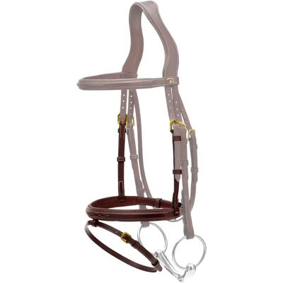 Dyon Reithalfter Pferd Dy'on Marron Pony Dyon Reithalfter Pferd Dy'on Marron Pony
