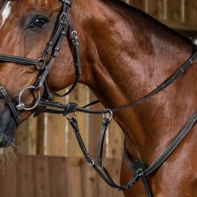 Dyon Martingal für Pferd Dy'on Working Schwarz Pony Dyon Martingal für Pferd Dy'on Working Schwarz Pony