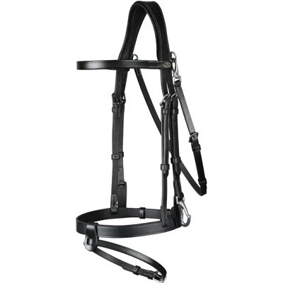 Dyon Trense aus flachem Leder Kombinierter Nasenriemen mit Karabinerhaken Dy'on Schwarz Pony Dyon Trense aus flachem Leder Kombinierter Nasenriemen mit Karabinerhaken Dy'on Schwarz Pony