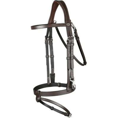 Dyon Trense aus flachem Leder Kombinierter Nasenriemen mit Karabinerhaken Dy'on Braun Pony Dyon Trense aus flachem Leder Kombinierter Nasenriemen mit Karabinerhaken Dy'on Braun Pony