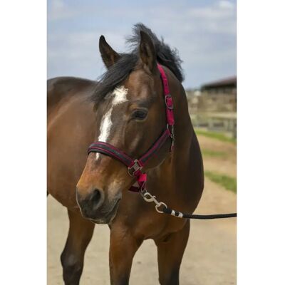 Pferdehalfter aus Nylon Strass Equithème Rot Pony Pferdehalfter aus Nylon Strass Equithème Rot Pony