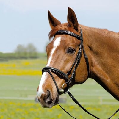 Trense Kieffer Comfort I with square chrome buckles Browbd.W.Silver Col.Chain A.Strass Noir G/Pony Trense Kieffer Comfort I with square chrome buckles Browbd.W.Silver Col.Chain A.Strass Noir G/Pony
