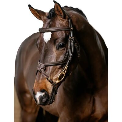 Trense mit gekreuztem Nasenriemen LeMieux Kudos Sport Marron XFull Trense mit gekreuztem Nasenriemen LeMieux Kudos Sport Marron XFull