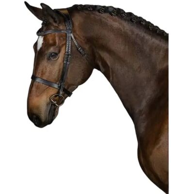 Trense PS of Sweden Wellington Schwarz Full Trense PS of Sweden Wellington Schwarz Full