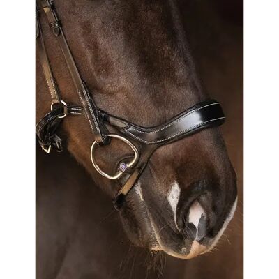 Reithalfter Pferd PS of Sweden Pioneer Braun Pony Reithalfter Pferd PS of Sweden Pioneer Braun Pony