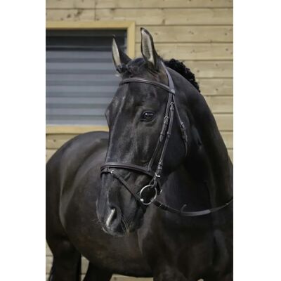 Zaumzeug Reiten Riding World Muserolle Schwarz Pony Zaumzeug Reiten Riding World Muserolle Schwarz Pony