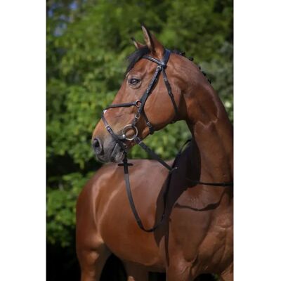 Zaumzeug Kreuzreiten Riding World Muserolle Schwarz Pony Zaumzeug Kreuzreiten Riding World Muserolle Schwarz Pony