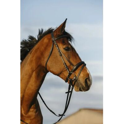 Trense Riding World Schwarz Vollblut Trense Riding World Schwarz Vollblut