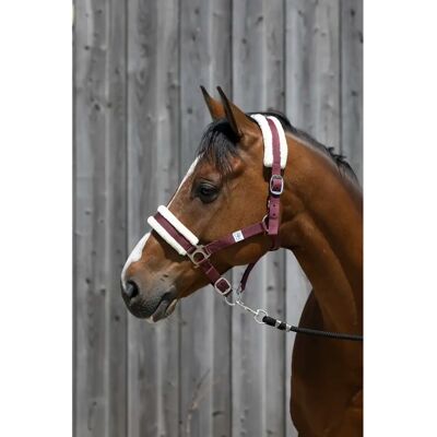Pferdehalfter aus synthetischem Lammfell Riding World Rot Pony Pferdehalfter aus synthetischem Lammfell Riding World Rot Pony
