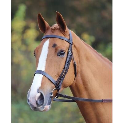 Einfarbige Reitgerte Velociti Gara Schwarz Small Pony Einfarbige Reitgerte Velociti Gara Schwarz Small Pony
