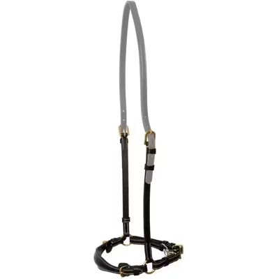 Dyon Pferdehalfter niedrig mit Kette Dy'on Noir Full Dyon Pferdehalfter niedrig mit Kette Dy'on Noir Full