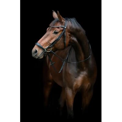 Reitgebiss mit abfallendem Nasenriemen HorseGuard Cryll 25.2 Noir Full Reitgebiss mit abfallendem Nasenriemen HorseGuard Cryll 25.2 Noir Full