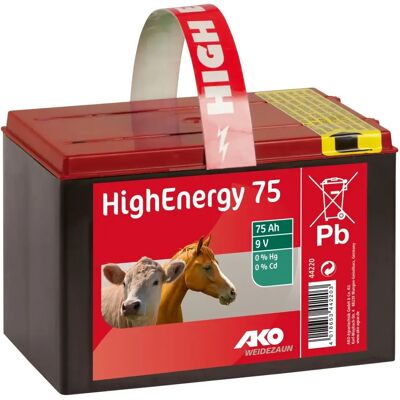 Salzhaltige Trockenbatterie Ako HighEnergy Noir 9 V Salzhaltige Trockenbatterie Ako HighEnergy Noir 9 V