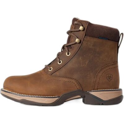 Reitstiefel Damen Ariat Anthem Round Toe Marron 36 Reitstiefel Damen Ariat Anthem Round Toe Marron 36