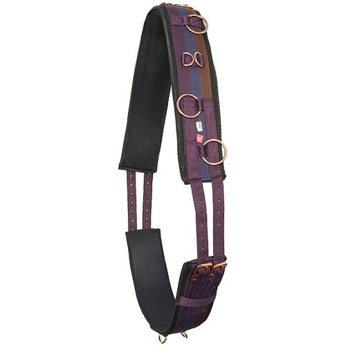 Voltigiergurt für Pferde aus Nylon Imperial Riding Deluxe Extra Rouge Full