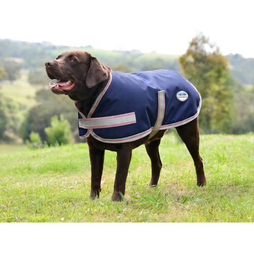 Hundemantel Weatherbeeta Comfitec Essential Bleu 25 cm