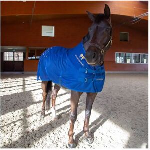 ACCUHORS Rücken Akupressurmatte - Atmungsaktives Sommerdesign ACCUHORS Rücken Akupressurmatte - Atmungsaktives Sommerdesign