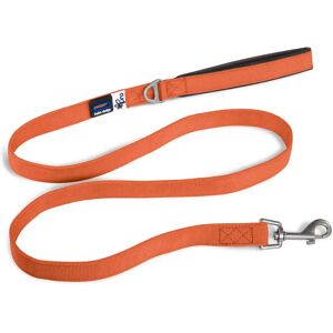 Basic-Hundeleine Curli Orange L Basic-Hundeleine Curli Orange L