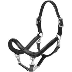 Lederhalfter für Pferde LeMieux Grooming Noir Cob Lederhalfter für Pferde LeMieux Grooming Noir Cob