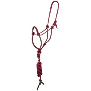 Kappzaum mit Longierleine für Pferde Pool's Rouge TU Kappzaum mit Longierleine für Pferde Pool's Rouge TU