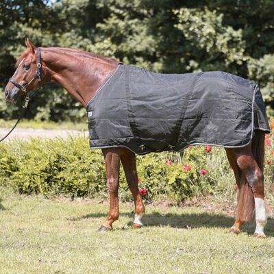 Stalldecke für Pferde Kavalkade Stallion 400 g Noir 155 cm Stalldecke für Pferde Kavalkade Stallion 400 g Noir 155 cm
