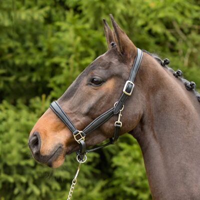Halfter aus Leder Kieffer Ultrasoft® Schwarz Full Halfter aus Leder Kieffer Ultrasoft® Schwarz Full