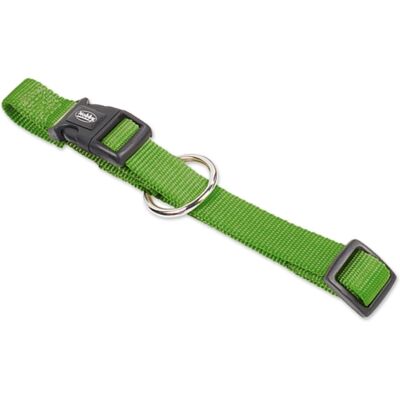 NOBBY NB HB CLAS Grün Verstellbares Halsband NOBBY NB HB CLAS Grün Verstellbares Halsband