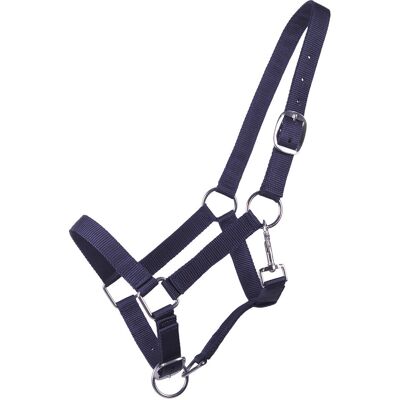 Halfter für Fohlen Q-essentials Yearling Blau Yearling Halfter für Fohlen Q-essentials Yearling Blau Yearling