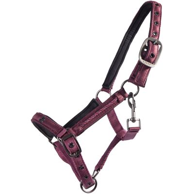 Fohlenhalfter QHP Lily Rot Pony Fohlenhalfter QHP Lily Rot Pony