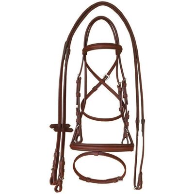 Reitstirrup für Pferde mit erhöhtem Stirnriemen Supreme Braun Cob Reitstirrup für Pferde mit erhöhtem Stirnriemen Supreme Braun Cob