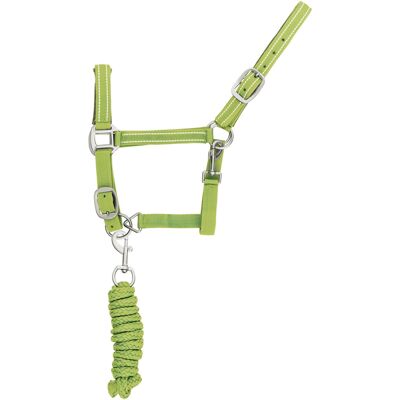 Reflektierendes Nylonhalfter und Führstrick für Pferde Supreme Grün Cob Reflektierendes Nylonhalfter und Führstrick für Pferde Supreme Grün Cob