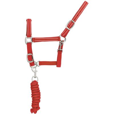 Reflektierendes Nylonhalfter und Führstrick für Pferde Supreme Rot Cob Reflektierendes Nylonhalfter und Führstrick für Pferde Supreme Rot Cob