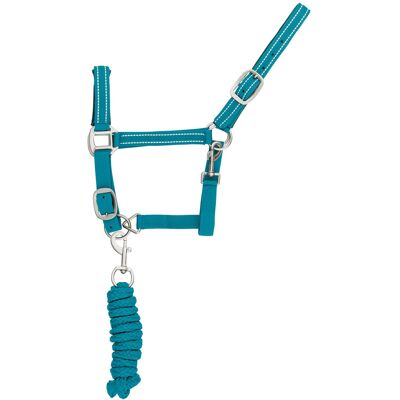 Reflektierendes Nylonhalfter und Führstrick für Pferde Supreme Blau Cob Reflektierendes Nylonhalfter und Führstrick für Pferde Supreme Blau Cob