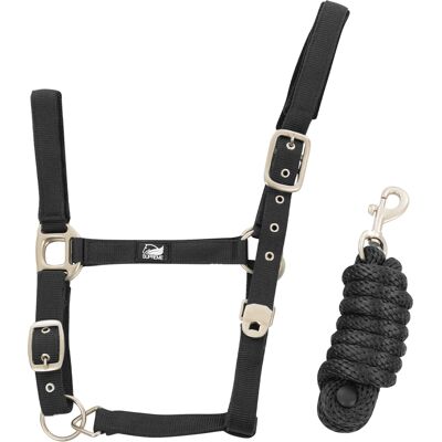 Nylonhalfter mit geflochtenem Strick für Pferde Supreme Schwarz Cob Nylonhalfter mit geflochtenem Strick für Pferde Supreme Schwarz Cob