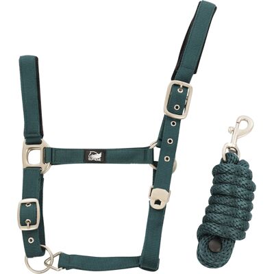 Nylonhalfter mit geflochtenem Strick für Pferde Supreme Grün Cob Nylonhalfter mit geflochtenem Strick für Pferde Supreme Grün Cob
