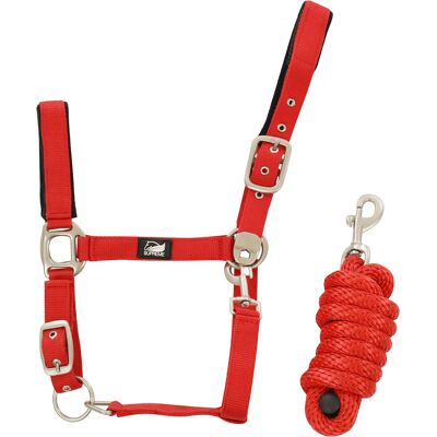 Nylonhalfter mit geflochtenem Strick für Pferde Supreme Rot Cob Nylonhalfter mit geflochtenem Strick für Pferde Supreme Rot Cob