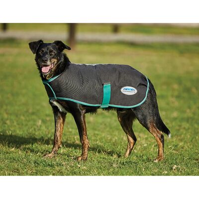 Hundedecke Weatherbeeta Green-Tec Medium Schwarz 25 cm Hundedecke Weatherbeeta Green-Tec Medium Schwarz 25 cm