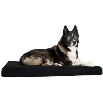 BACK ON TRACK XL Memory-Schaum Matratze - Hundebett BACK ON TRACK XL Memory-Schaum Matratze - Hundebett