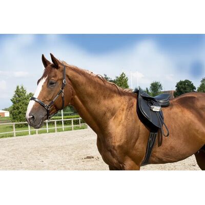 Halfter für Ponys ERIC THOMAS “Pro” Noir TU Halfter für Ponys ERIC THOMAS “Pro” Noir TU