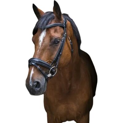 Reittrensen für Pferde Eric Thomas PRO "Design" Noir Cheval Reittrensen für Pferde Eric Thomas PRO "Design" Noir Cheval