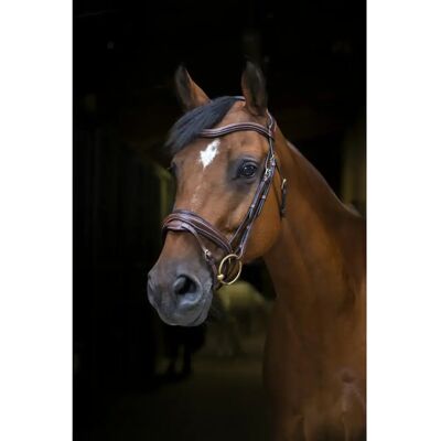 Reittrensen für Pferde Eric Thomas PRO "Design" Marron Cheval Reittrensen für Pferde Eric Thomas PRO "Design" Marron Cheval
