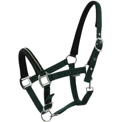 Halfter für Pferd Norton Crystal Vert Poney Halfter für Pferd Norton Crystal Vert Poney