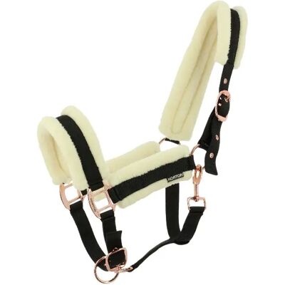 Halfter für Pferd Norton Comfy Noir Cob Halfter für Pferd Norton Comfy Noir Cob