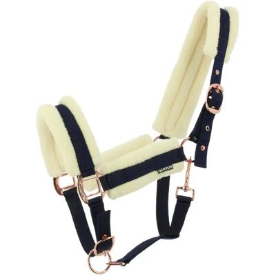 Halfter für Pferd Norton Comfy Bleu Cob Halfter für Pferd Norton Comfy Bleu Cob