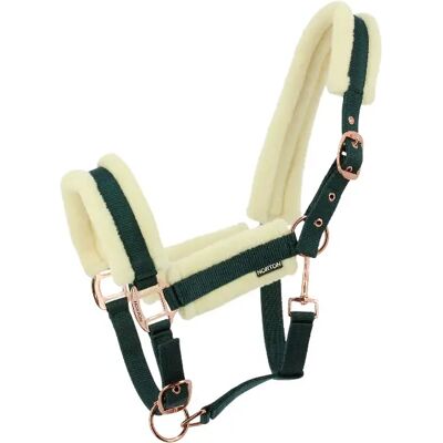 Halfter für Pferd Norton Comfy Vert Poney Halfter für Pferd Norton Comfy Vert Poney