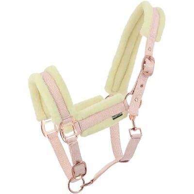 Halfter für Pferd Norton Comfy Rose Cob Halfter für Pferd Norton Comfy Rose Cob