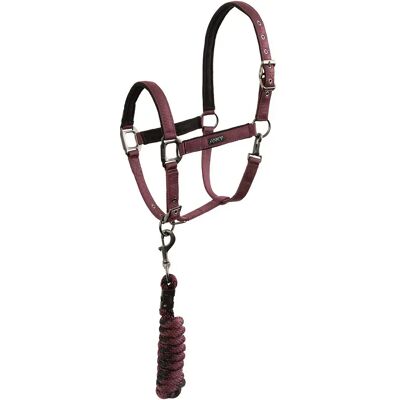 Set aus Halfter und Longiergurt für Pferde ANKY ATH26001 3C Marron Cob Set aus Halfter und Longiergurt für Pferde ANKY ATH26001 3C Marron Cob