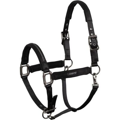 Halfter für Pferd ANKY Victory Noir Cob Halfter für Pferd ANKY Victory Noir Cob