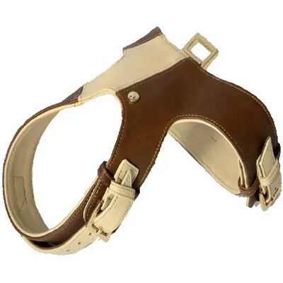 Hundegeschirr Arka Haok Beige 4 cm Hundegeschirr Arka Haok Beige 4 cm